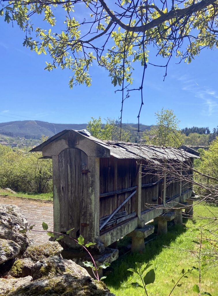 Espigueiro (D.)