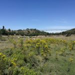 Valle del Huebra