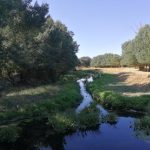 Arroyo del Encinar